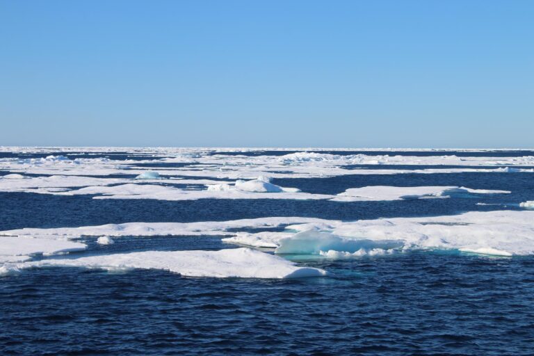 Arctic sea ice. Photo provided by Carlyn Schmidgall.
