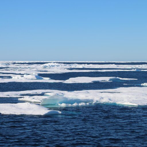Arctic sea ice. Photo provided by Carlyn Schmidgall.