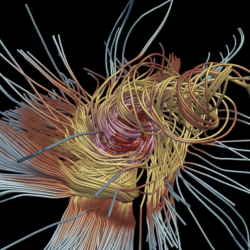 Data: Nina Filippova and Stella Offner, UT Austin; Visualization: Greg Foss and Dave Semeraro, Texas Advanced Computing Center.